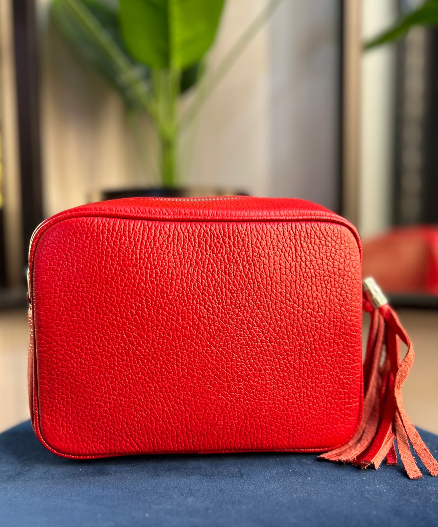 Cassie Leather Camera Bag Red